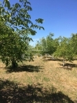 Eladó mezőgazdasági terület Baja, 14000m2