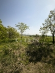 Verkauf landwirtschaftliche flächen Dunakeszi, 10793m2