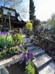 For sale family house Vác, 42m2