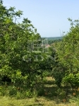 For sale building lot Mogyoród, 1298m2