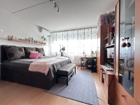 For sale flat (panel) Budapest X. district, 29m2