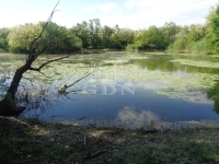 For sale agricultural area Püspökmolnári, 40371m2