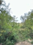 For sale building lot Isaszeg, 2143m2