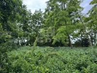 For sale building lot Kisláng, 60m2