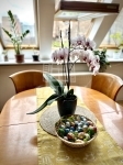 For sale flat (brick) Budapest VIII. district, 74m2