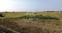 Eladó mezőgazdasági terület Gátér, 345000m2